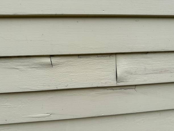 Best Shed Removal  in Pine Grove, PA